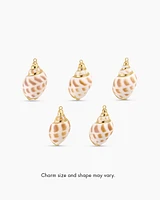 Tulip Shell Parker Charm