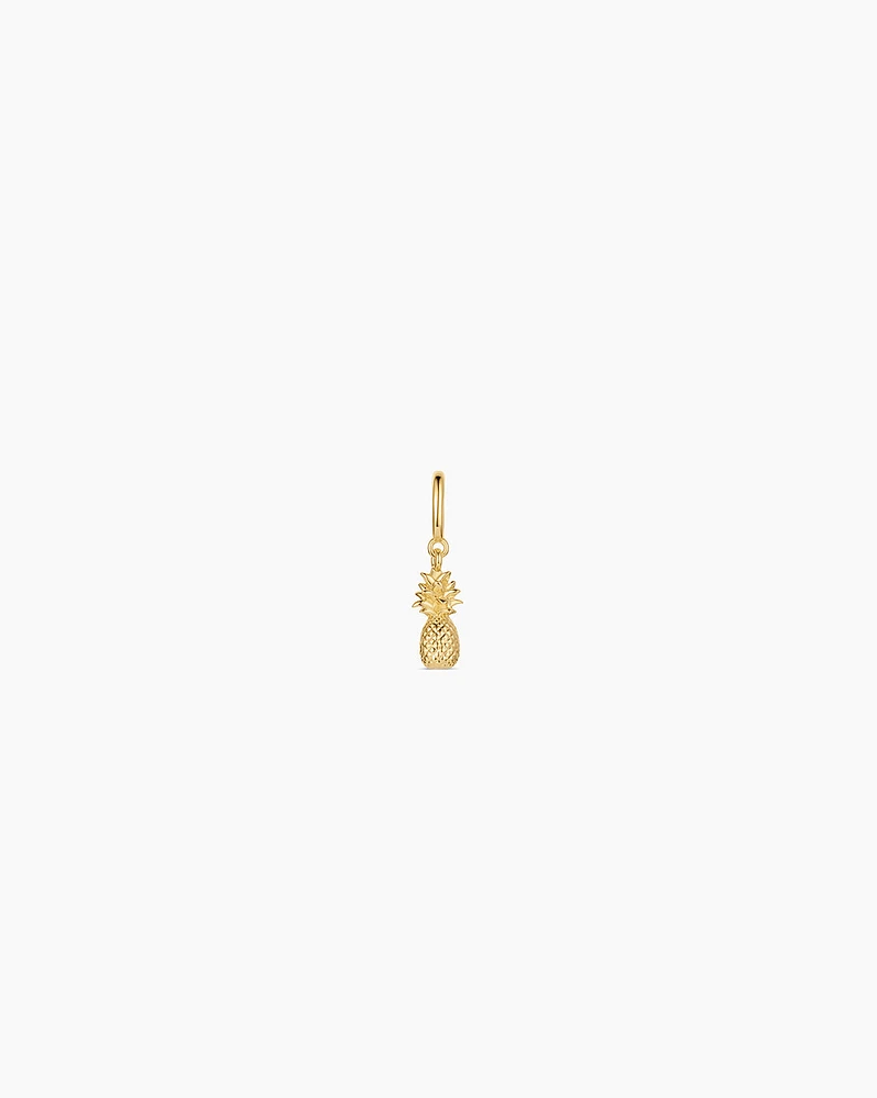 Pineapple Parker Charm