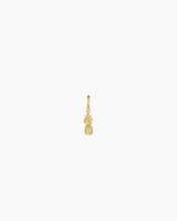Pineapple Parker Charm