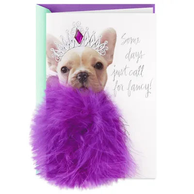 Some Days Call for Fancy Birthday Card for only USD 5.99 | Hallmark