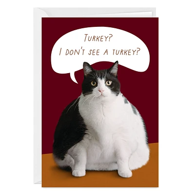 Fat Cat Funny Custom Thanksgiving Card for only USD 4.99 | Hallmark