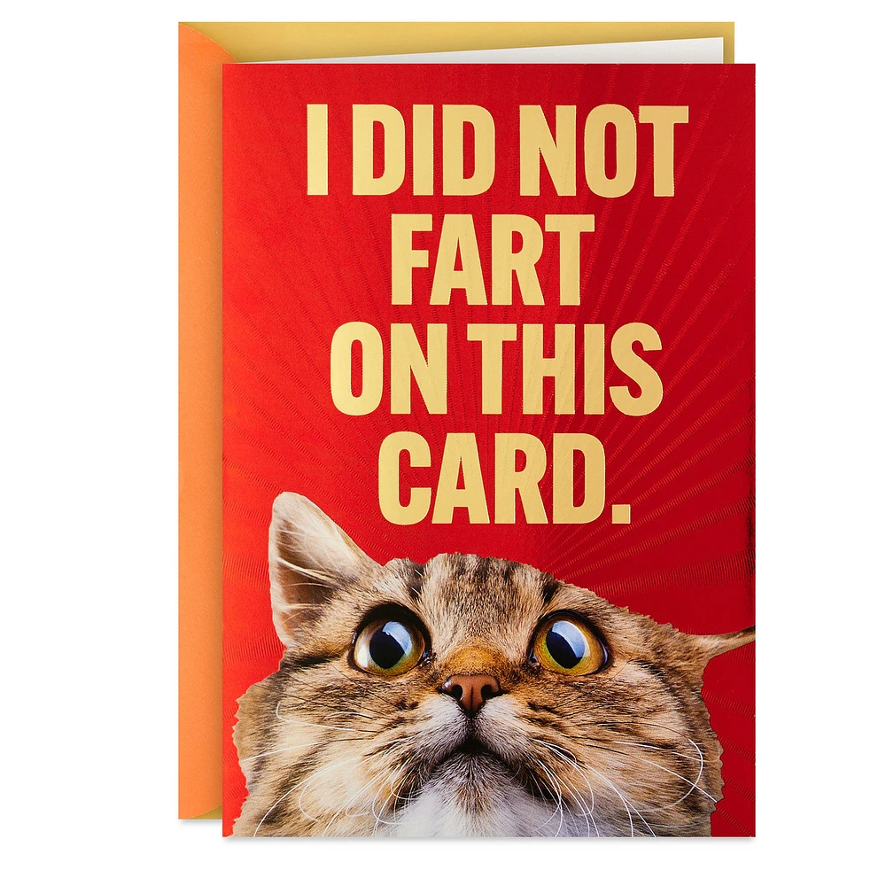 I Did Not Fart Or Did I? Funny Birthday Card for only USD 3.99 | Hallmark