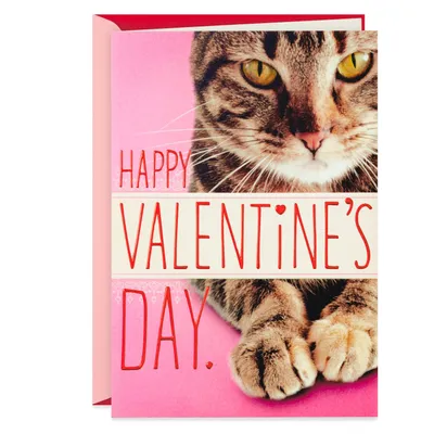 You're in My Chair Funny Valentine's Day Card From Cat for only USD 3.59 | Hallmark