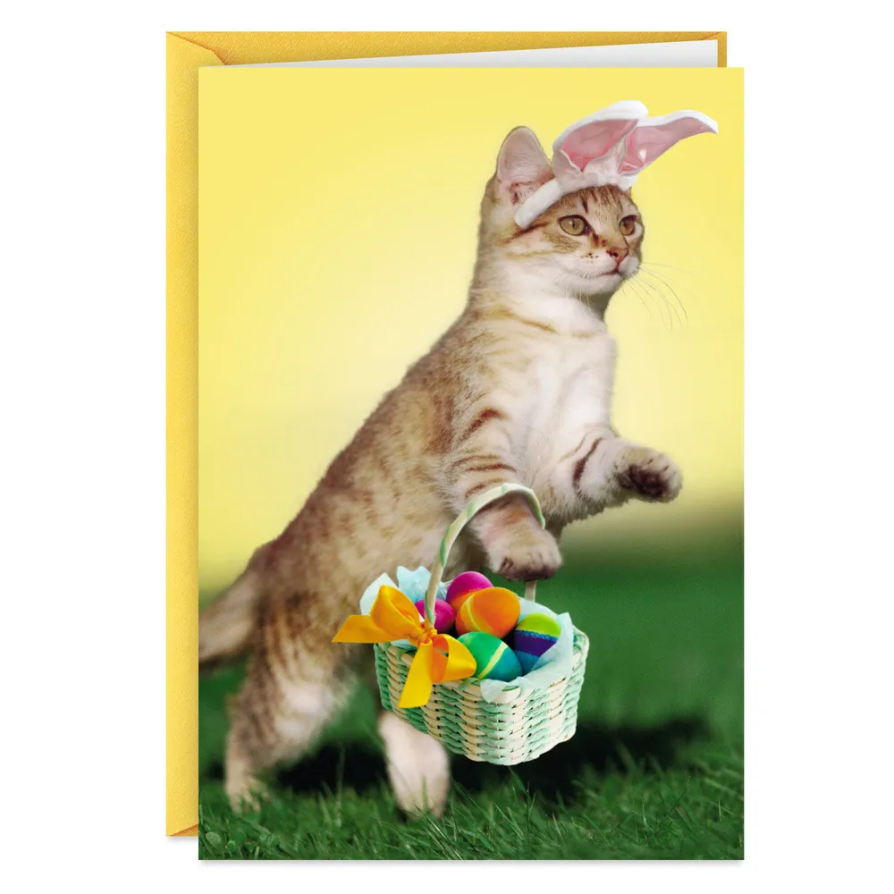 Peter Cat-n-tail Funny Easter Card for only USD 3.49 | Hallmark