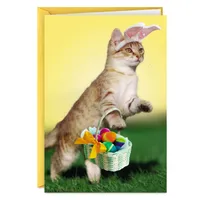 Peter Cat-n-tail Funny Easter Card for only USD 3.49 | Hallmark