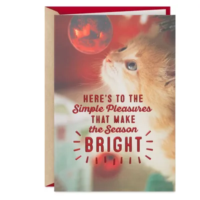 Cute Cat Warm and Merry Christmas Card for Sister for only USD 3.99 | Hallmark