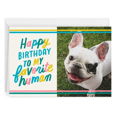 My Favorite Human Folded Celebration Photo Card for only USD 4.99 | Hallmark