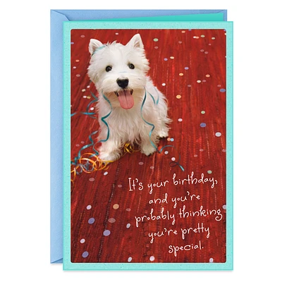 You're Pretty Special Birthday Card for only USD 0.99 | Hallmark