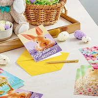 Cute Animals Boxed Easter Cards Assortment, Pack of 16 for only USD 9.99 | Hallmark