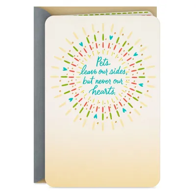 Pets Never Leave Our Hearts Sympathy Card for only USD 2.99 | Hallmark