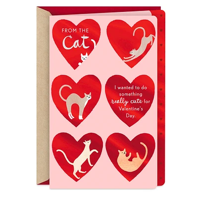 Really Cute Valentine's Day Card From Cat for only USD 2.99 | Hallmark