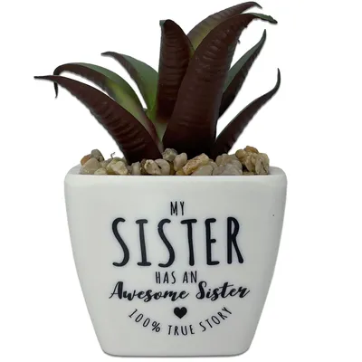 Faux Potted Succulent With Sister Message for only USD 9.99 | Hallmark