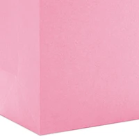 9.6" Pink Medium Gift Bag for only USD 3.49 | Hallmark