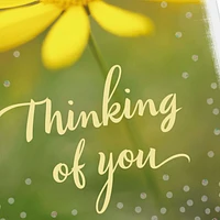 3.25" Mini Hope You're Having a Good Day Thinking of You Card for only USD 1.99 | Hallmark