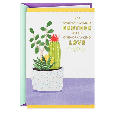 One-of-a-Kind Anniversary Card for Brother and Spouse for only USD 3.99 | Hallmark