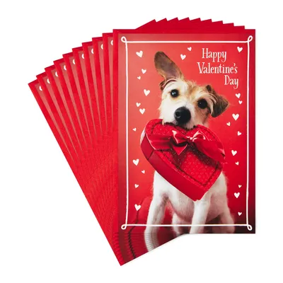 Dog With Box of Chocolates Valentine's Day Cards, Pack of 10 for only USD 7.99 | Hallmark