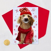 A Smile From Someone Who Loves You Funny Christmas Card for only USD 3.69 | Hallmark