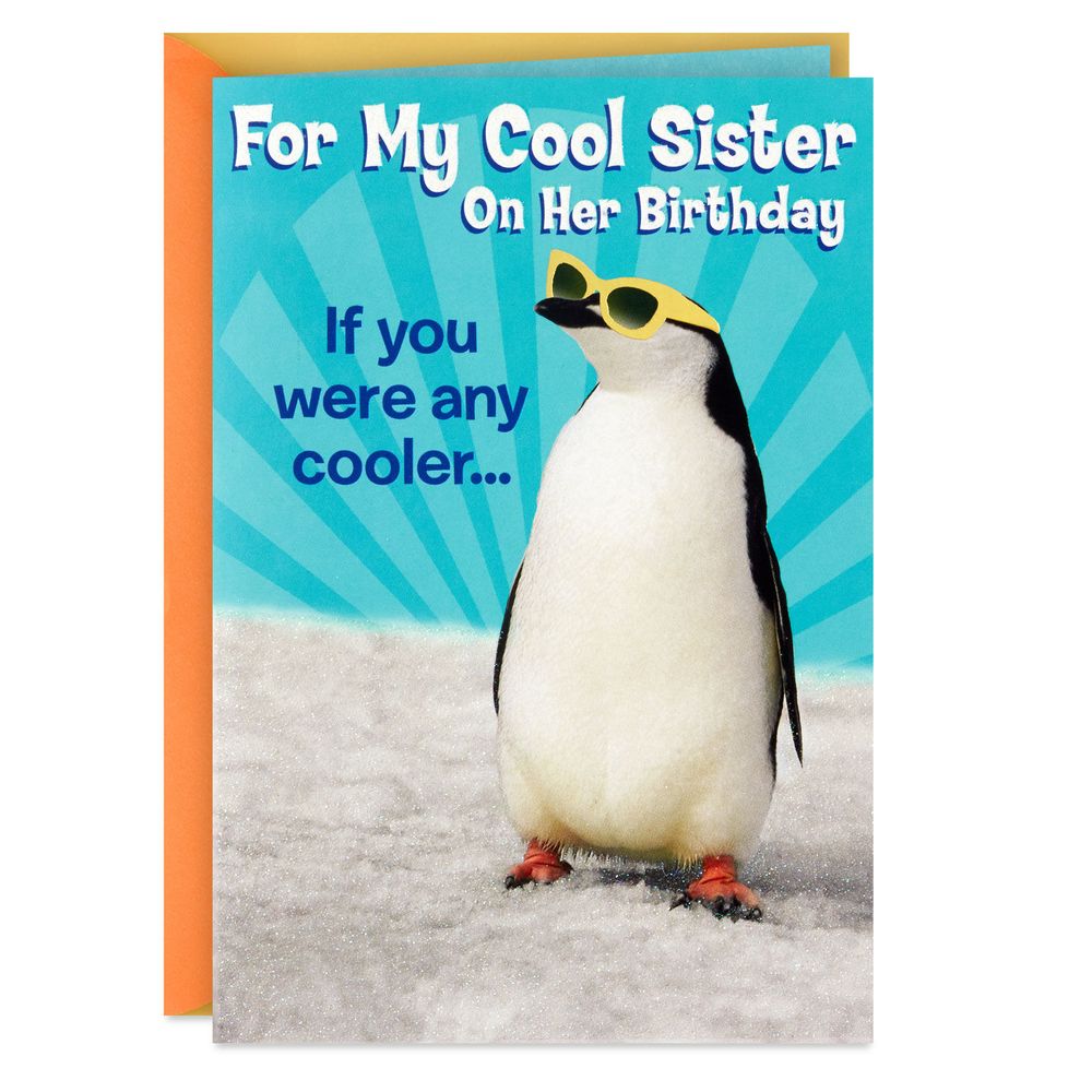 Hallmark Cool Penguin Funny Birthday Card for Sister | Montebello ...