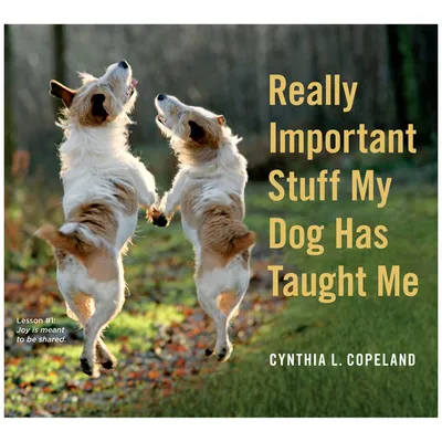 Really Important Stuff My Dog Has Taught Me Gift Book for only USD 12.95 | Hallmark