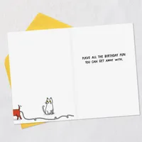 All the Fun You Can Get Away With Funny Birthday Card for only USD 3.69 | Hallmark