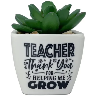 Faux Potted Succulent With Teacher Message for only USD 9.99 | Hallmark