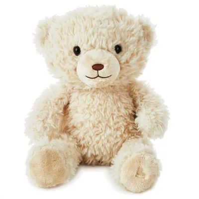 Be There When You Can’t Recordable Bear Stuffed Animal, 10” for only USD 24.99 | Hallmark