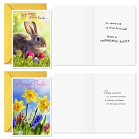 Sunny Springtime Assorted Easter Cards, Pack of 8 for only USD 6.99 | Hallmark