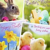 Sunny Springtime Assorted Easter Cards, Pack of 8 for only USD 6.99 | Hallmark