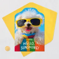 Dog in Sunglasses Hello Card for only USD 0.99 | Hallmark