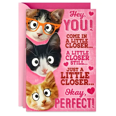 Group Hug Funny Pop-Up Valentine's Day Card From Cat for only USD 4.59 | Hallmark