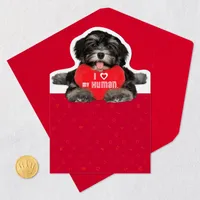 I Love My Human Valentine's Day Card From Dog for only USD 2.00 | Hallmark