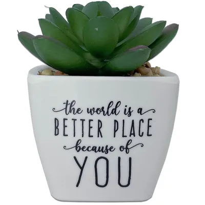 Faux Potted Succulent With Complimentary Message for only USD 9.99 | Hallmark