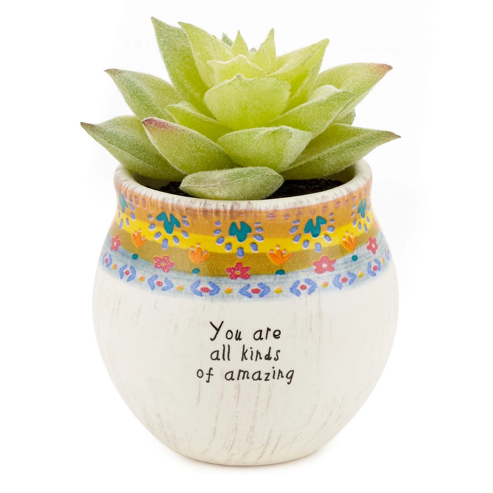 Natural Life Faux Succulent All Kinds of Amazing Mini Planter, 2" for only USD 14.99 | Hallmark