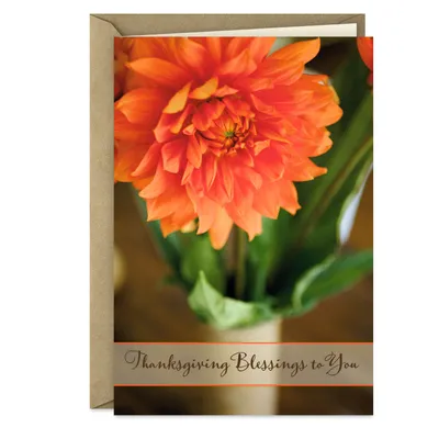 Peace, Love and Blessings Thanksgiving Card for only USD 0.99 | Hallmark