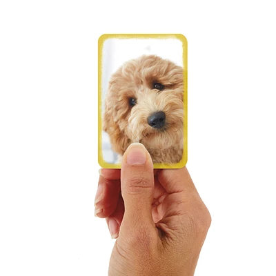 3.25" Mini Fluffy Puppy Dog Blank Card for only USD 1.99 | Hallmark
