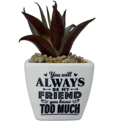 Faux Potted Succulent With Funny Friend Message for only USD 9.99 | Hallmark