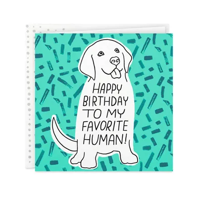 You're My Favorite Human Birthday Card From the Dog for only USD 3.59 | Hallmark