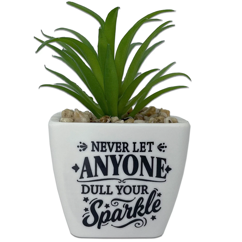 Faux Potted Succulent With Encouraging Message for only USD 9.99 | Hallmark