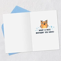 A Birthday Compliment Funny Birthday Card for only USD 3.99 | Hallmark