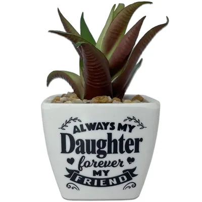 Faux Potted Succulent With Daughter Message for only USD 9.99 | Hallmark