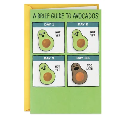 A Brief Guide to Avocados Funny Birthday Card for only USD 3.99 | Hallmark