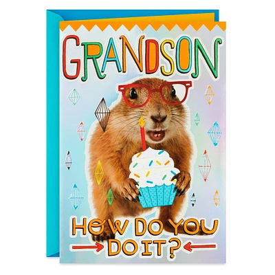 One Cool Guy Birthday Card for Grandson for only USD 3.59 | Hallmark