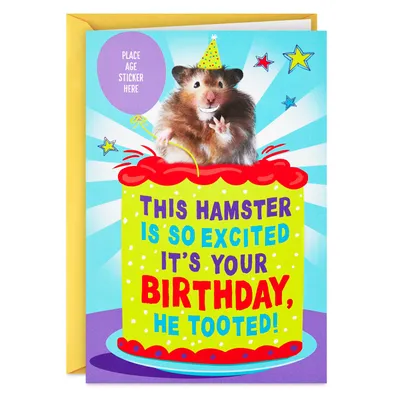Tooting Hamster Customizable Kids Funny Birthday Card With Age Stickers for only USD 3.99 | Hallmark