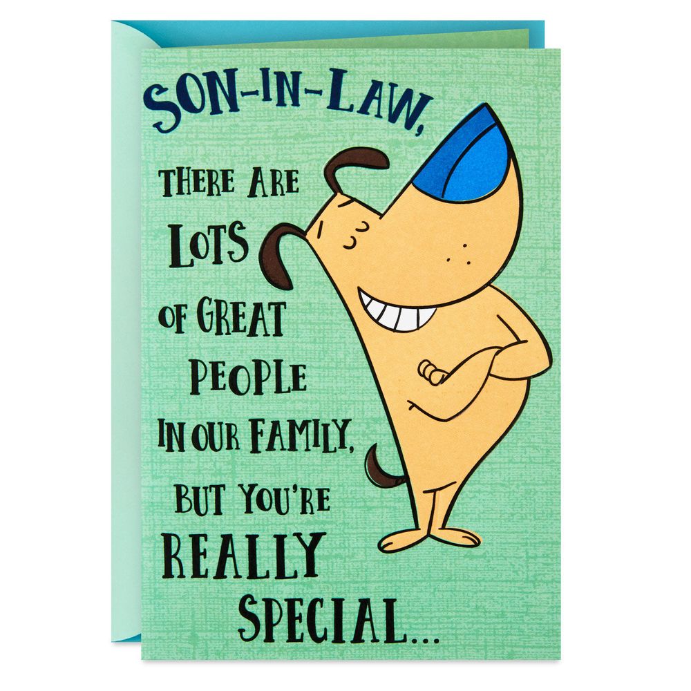 Hallmark You're Really Special Funny Birthday Card for Son-in-Law ...