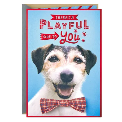 You Have a Playful Side Birthday Card for only USD 6.29 | Hallmark