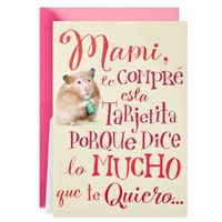 funny mexican birthday card