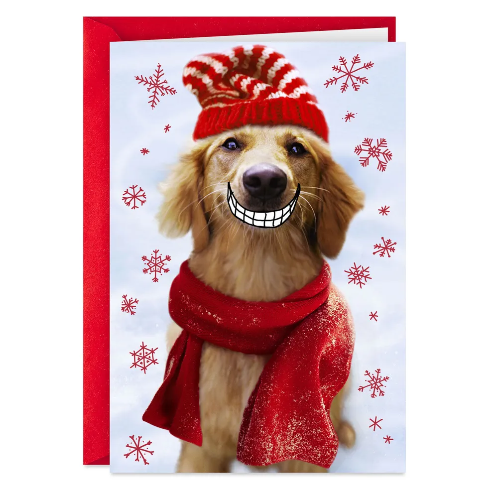 A Smile From Someone Who Loves You Funny Christmas Card for only USD 3.69 | Hallmark