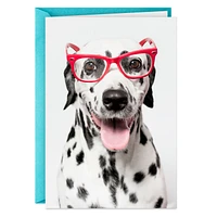 Spotted This Card Funny Thinking of You Card for only USD 3.99 | Hallmark