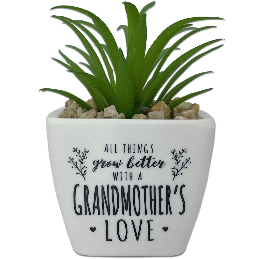 Faux Potted Succulent With Grandmother Message for only USD 9.99 | Hallmark