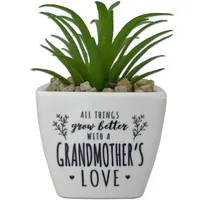 Faux Potted Succulent With Grandmother Message for only USD 9.99 | Hallmark